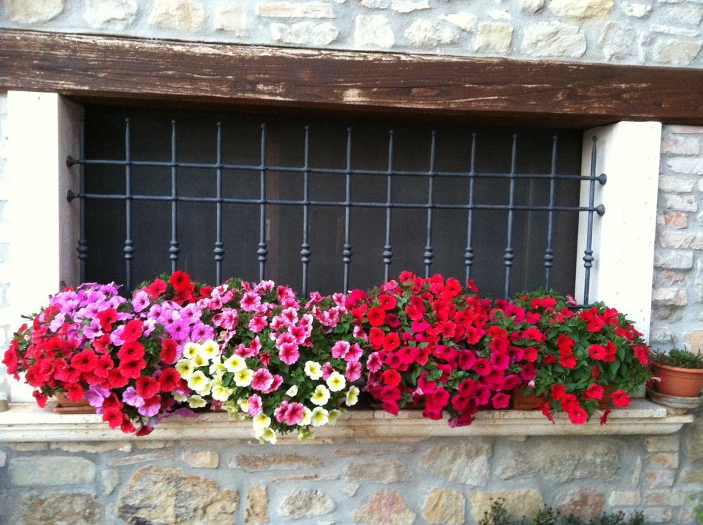 Agriturismo La Cantina Ασκόλι Πιτσένο Εξωτερικό φωτογραφία